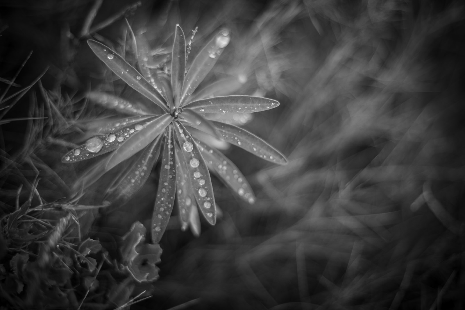 2021 12.PortfolioTL 3