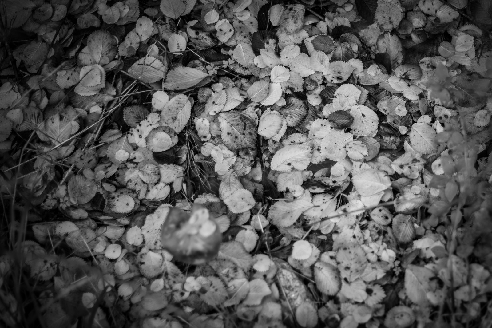 2021 12.PortfolioTL 5